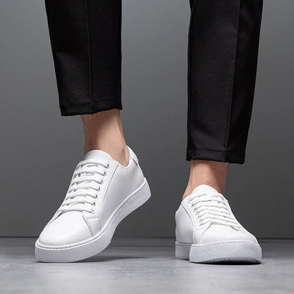 Hanley Leather Shoes