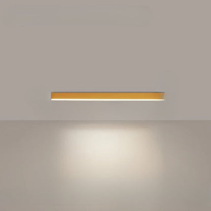 Bright LED Outdoor Ceiling Lamp