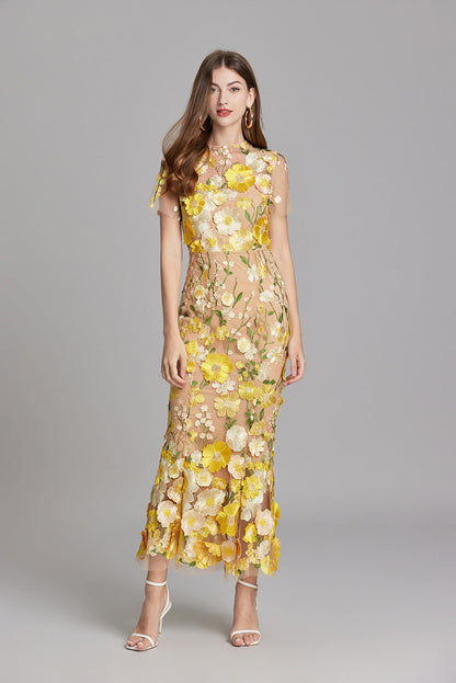 Marivelle – Elegant Embroidered Sheer Maxi Dress