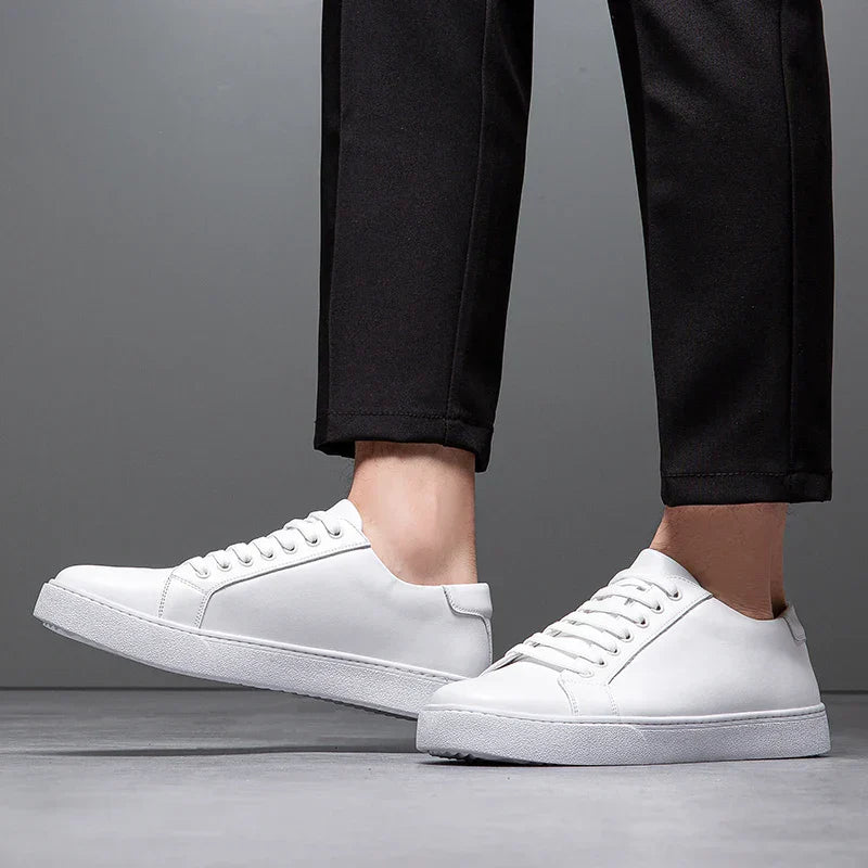 Hanley Leather Shoes