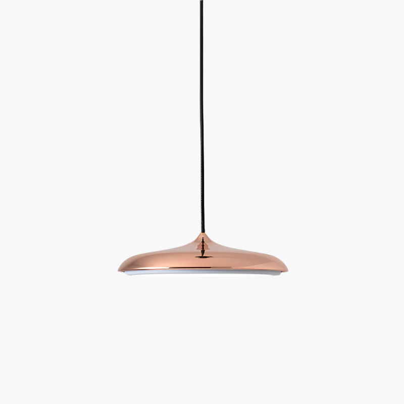 Simple LED Hanging Light Modern Ceiling Lamp