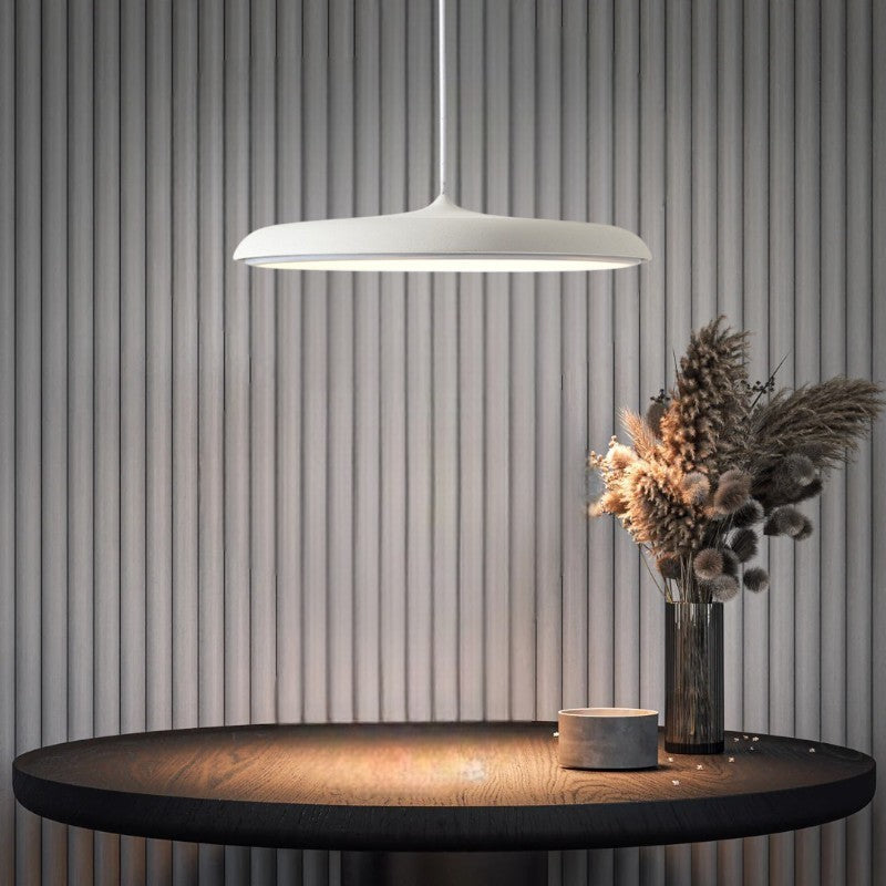 Simple LED Hanging Light Modern Ceiling Lamp