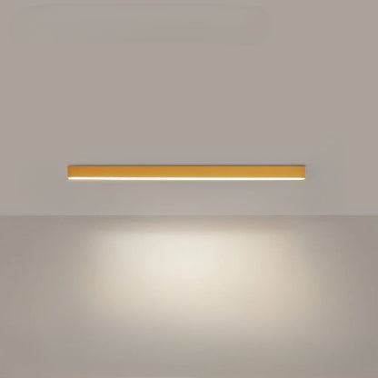 Bright LED Outdoor Ceiling Lamp
