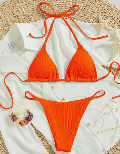 Zoey Blue High-Waisted V-Neck Bikini