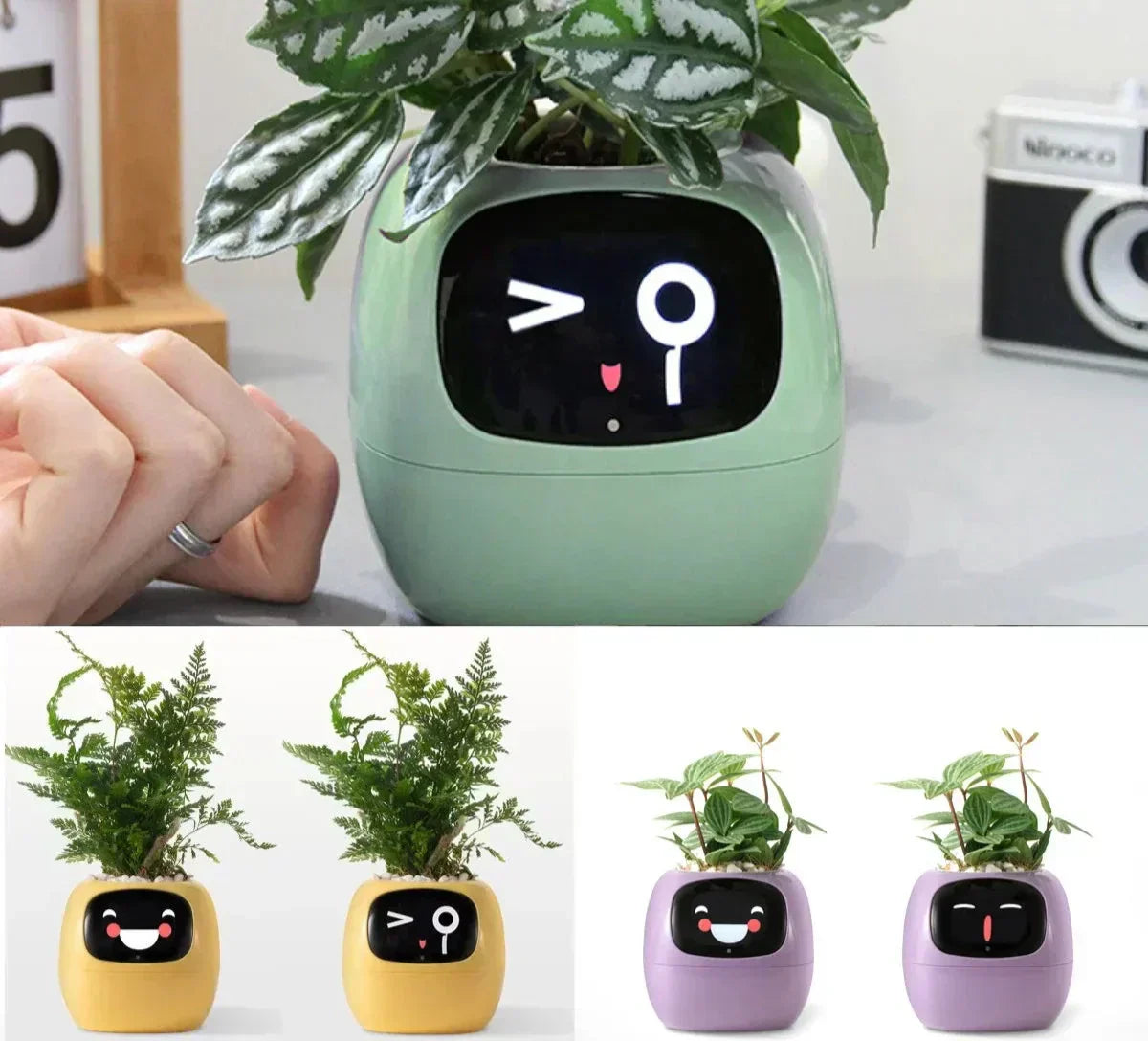 Intelligent Self Watering Planter With Sensors - BritishElegance