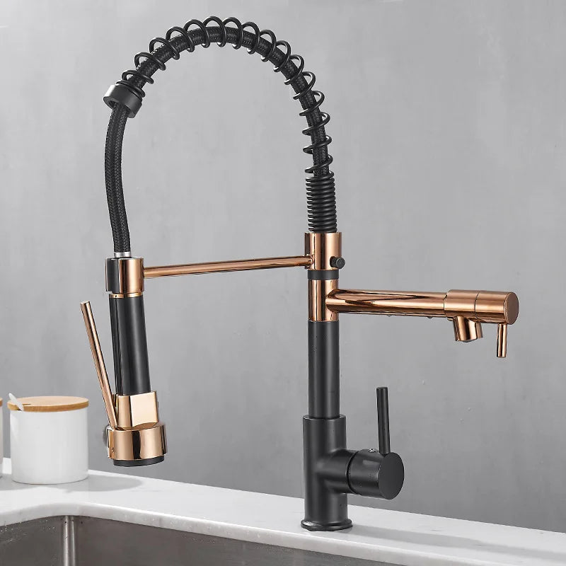 Modern 2 Handle Kitchen Faucet In Black And Gold