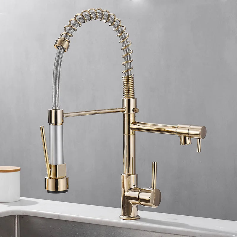 Modern 2 Handle Kitchen Faucet In Black And Gold - BritishElegance