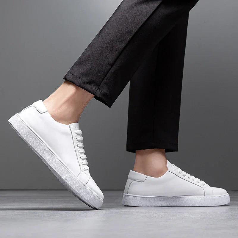 Hanley Leather Shoes