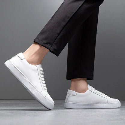 Hanley Leather Shoes