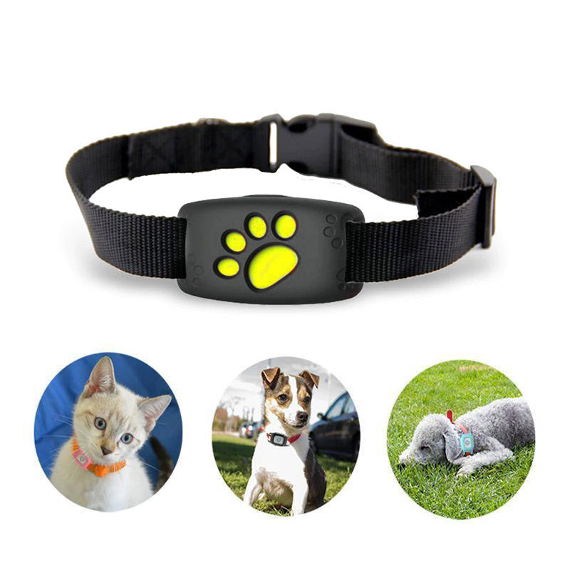 Advanced Cat Tracker Collar With Live GPS Location - BritishElegance