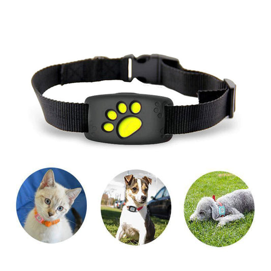 Advanced Cat Tracker Collar With Live GPS Location - BritishElegance