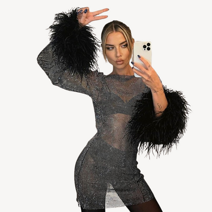 Sequined Mesh Feather Detail Mesh Dress