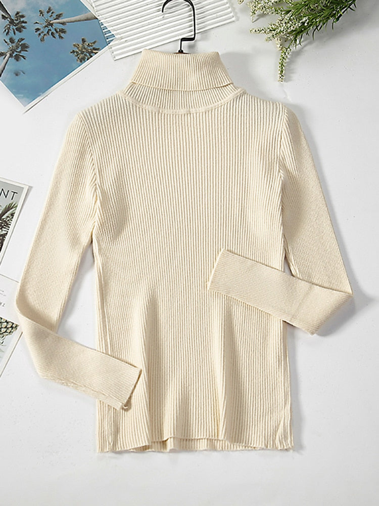 ClassSweater | Women's Pullover