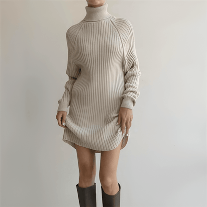 Chic Winter Sweater Dress