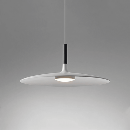 Simple Elegant Drop Light