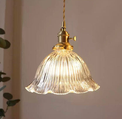 Elegant Glass Drop Pendant Light With LED