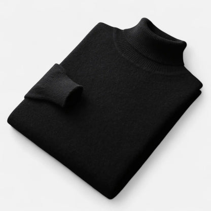 Slim Fit Turtleneck Sweater Men