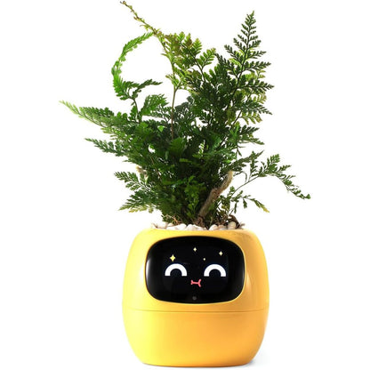 Smart Indoor Planter with Alexa Connection