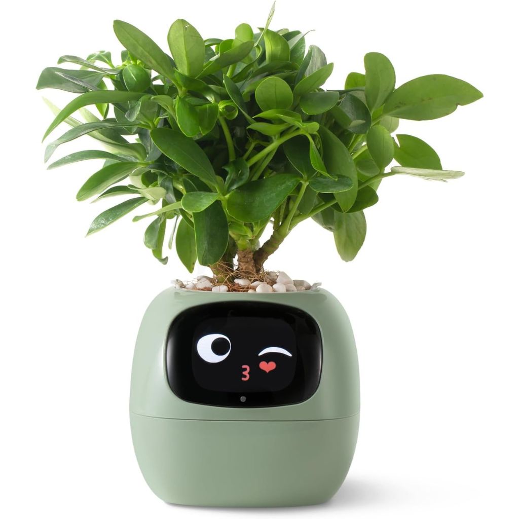 Smart Indoor Planter with Alexa Connection