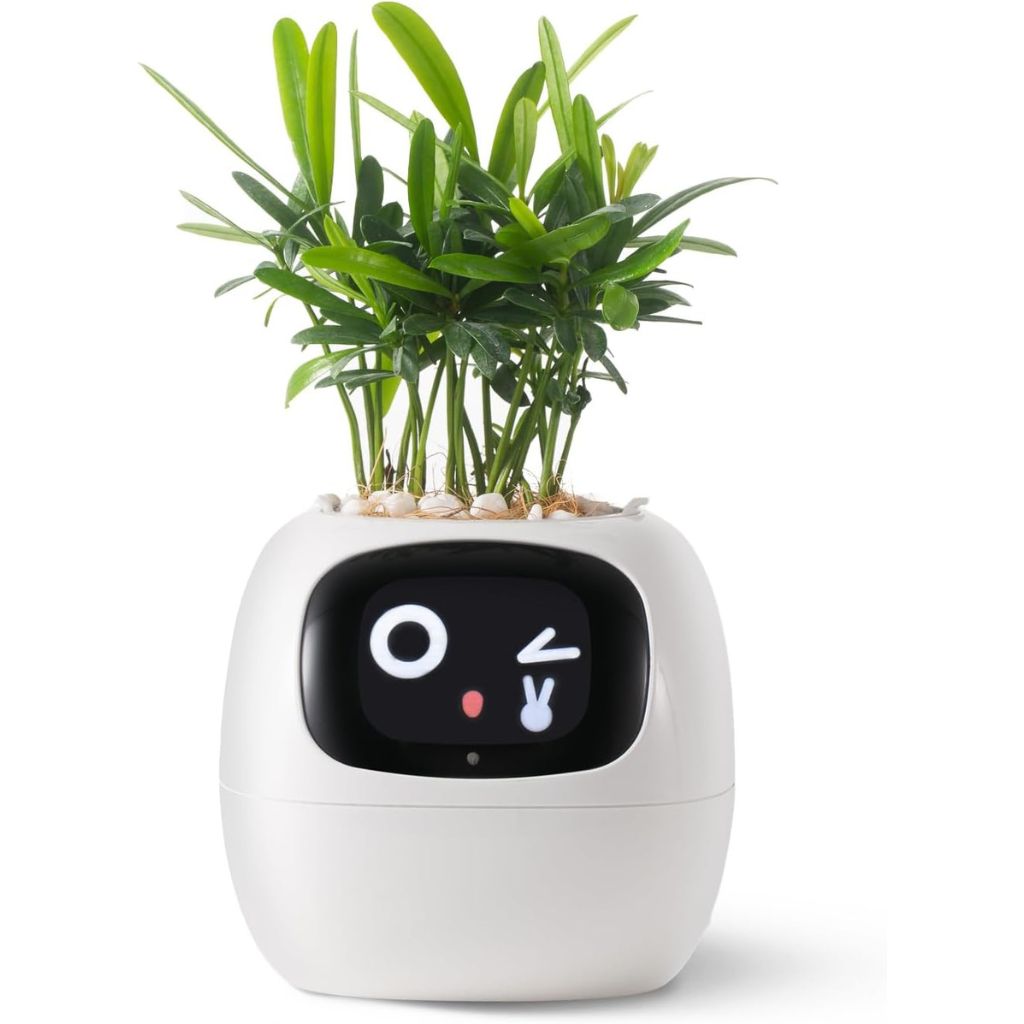 Smart Indoor Planter with Alexa Connection