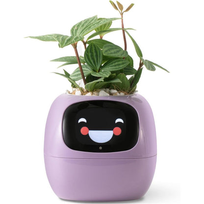 Smart Indoor Planter with Alexa Connection