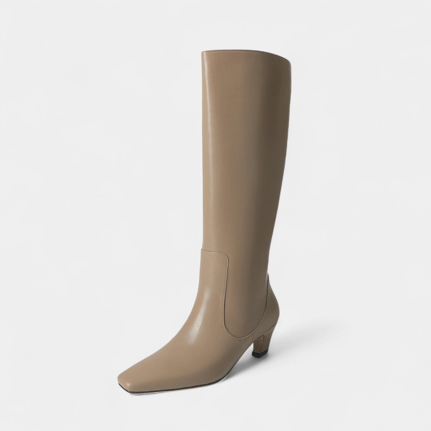 Ladies Tall Pointed Toe Mid Heel Boots