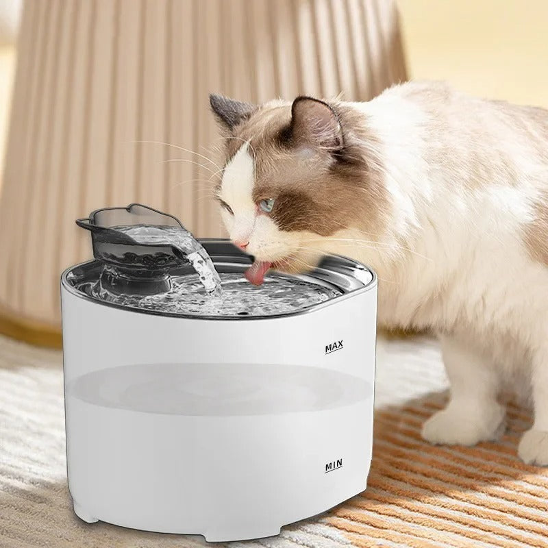 Automatic Pet Water Fountain With Advanced Filter System