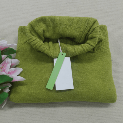 Nora Oversized Knit Turtleneck in Grass Green