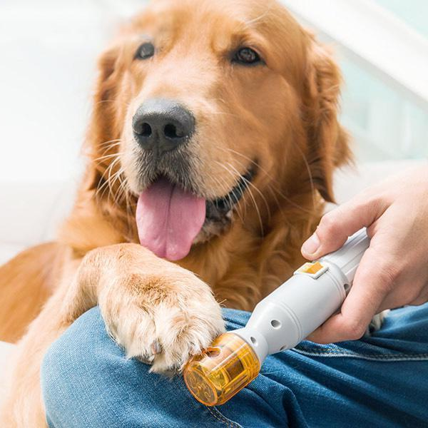 Easy Pet Nail Clipper For Dogs And Cats - BritishElegance