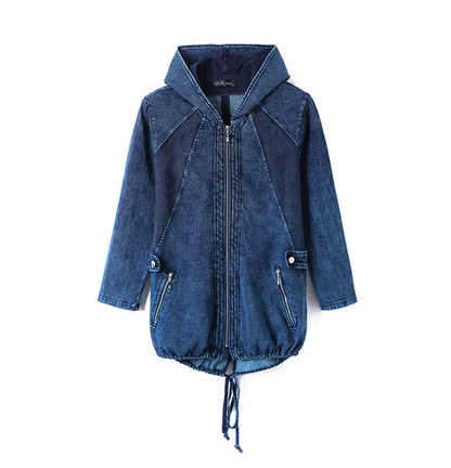 Oversized Curve Champion Denim Hoodie Pullover
