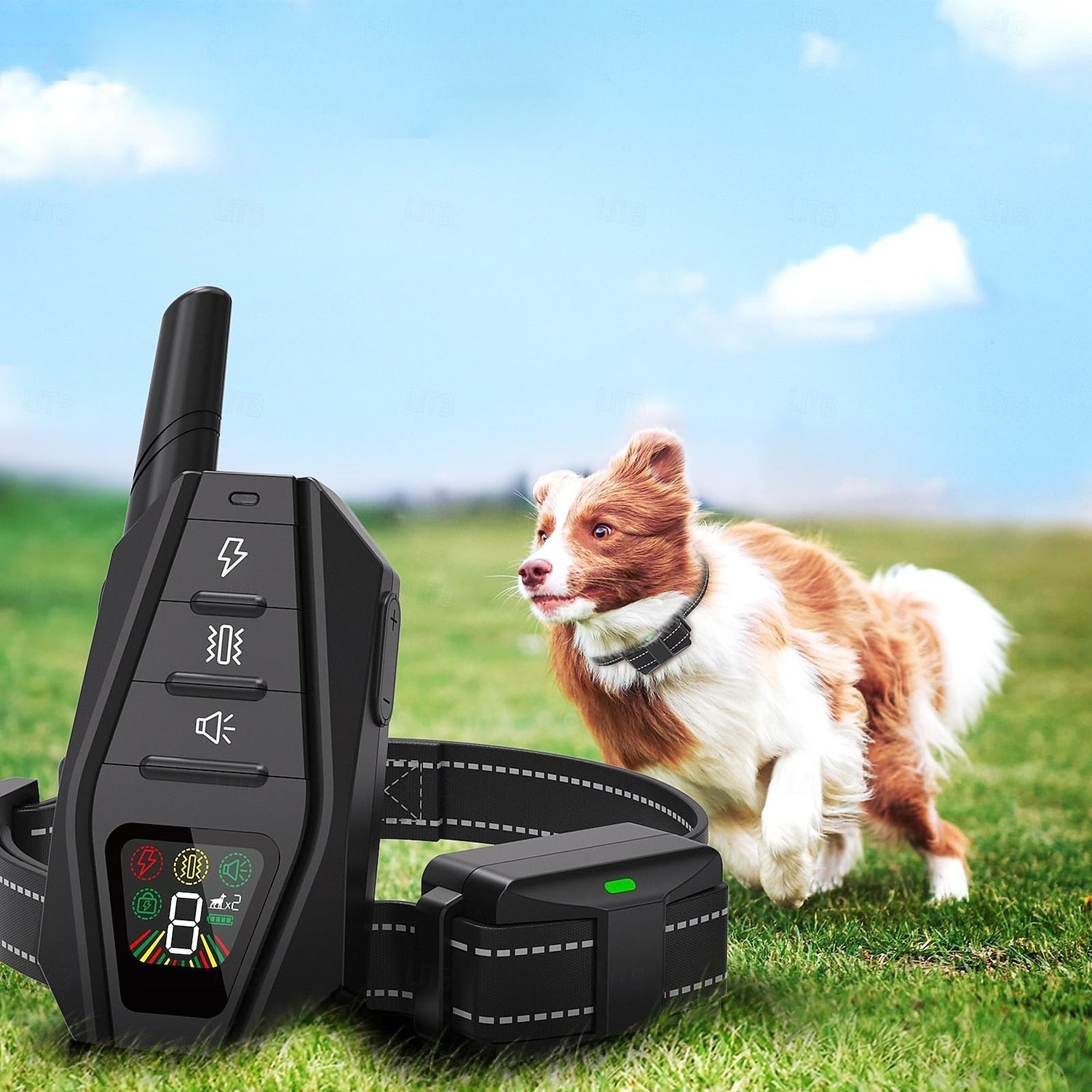 Advanced Wireless Dog Training Collar Waterproof Shock Resistant - BritishElegance