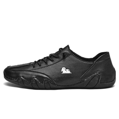 Comfortable Darwin Casual Shoes