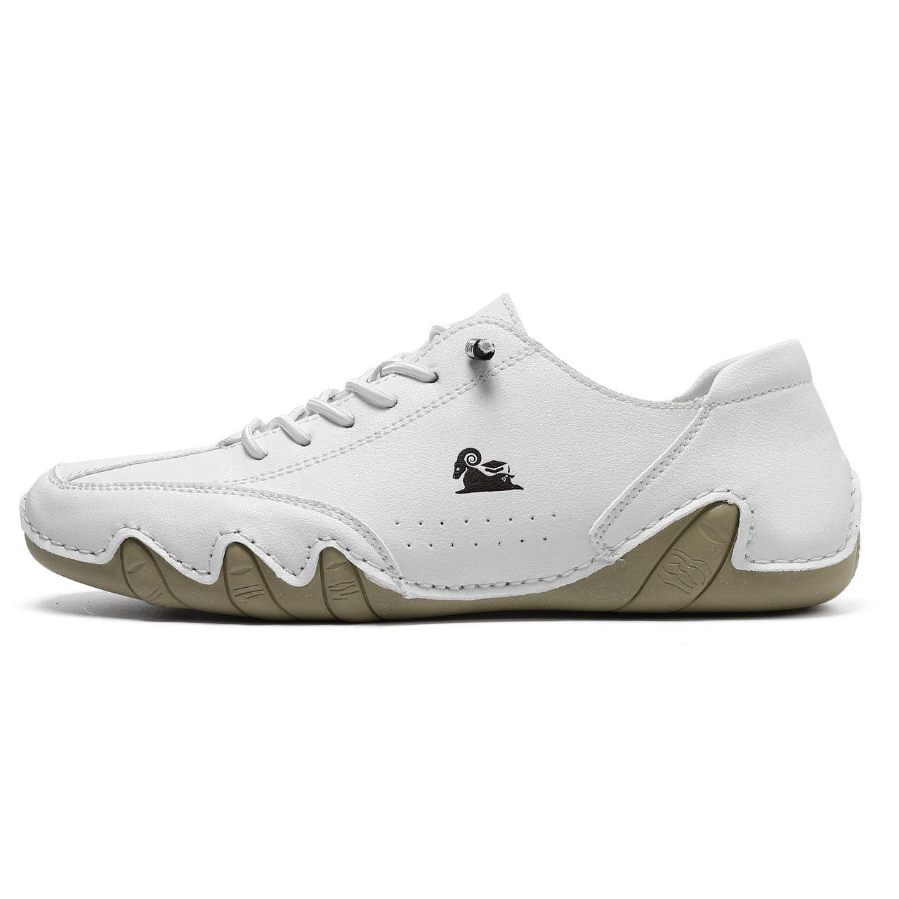 Comfortable Darwin Casual Shoes
