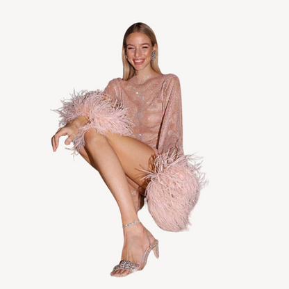 Sequined Mesh Feather Detail Mesh Dress