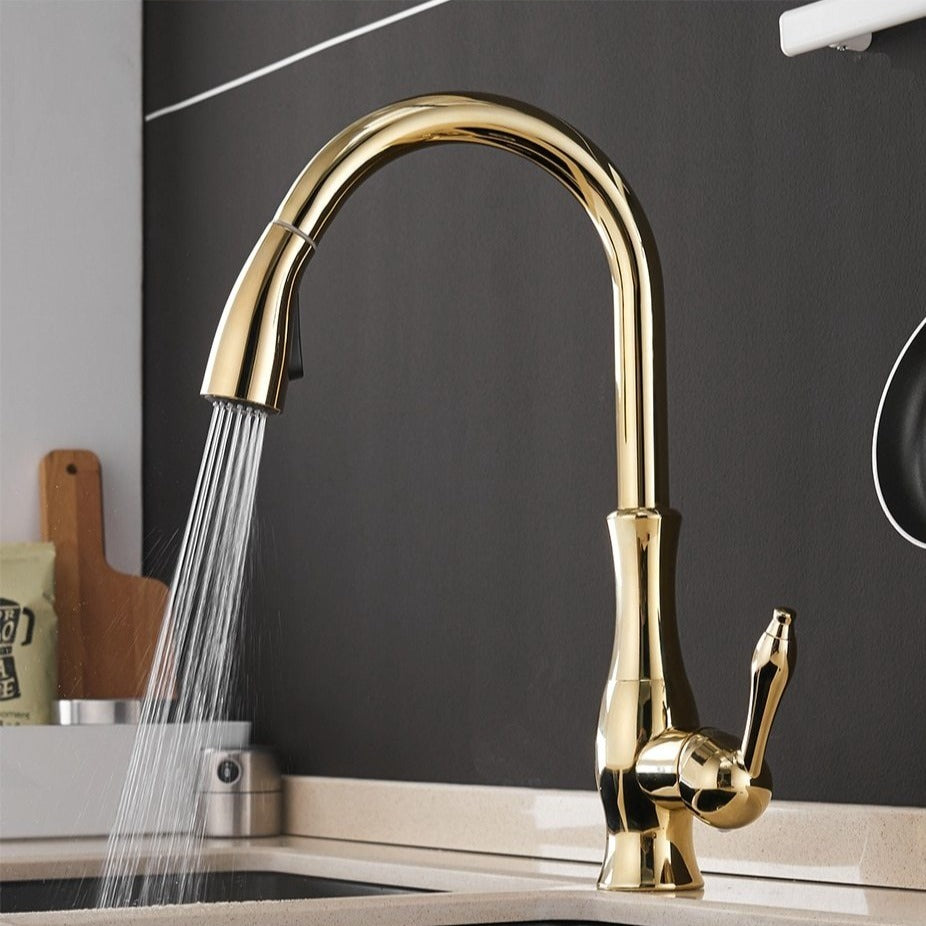 Stainless Steel Pull Down Kitchen Faucet