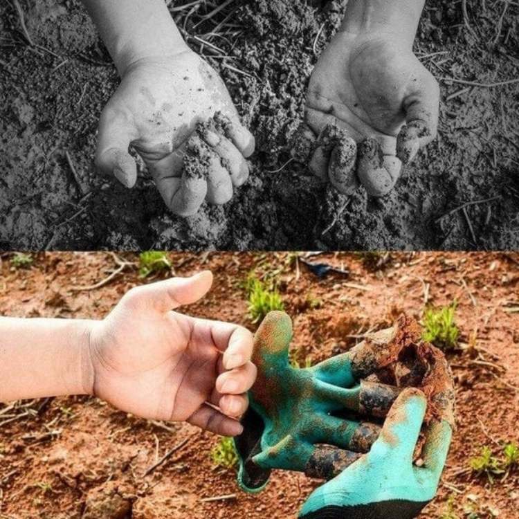 Versatile Gloves with Built-In Claws